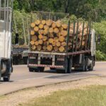 林業・農業で使える！悪路に強い中古トラックの選び方